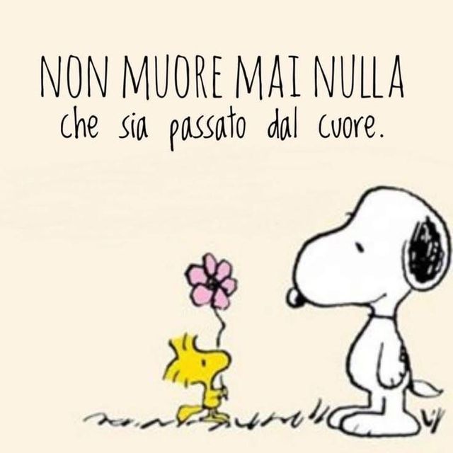 Ingrandire l'immagine: certificate 152