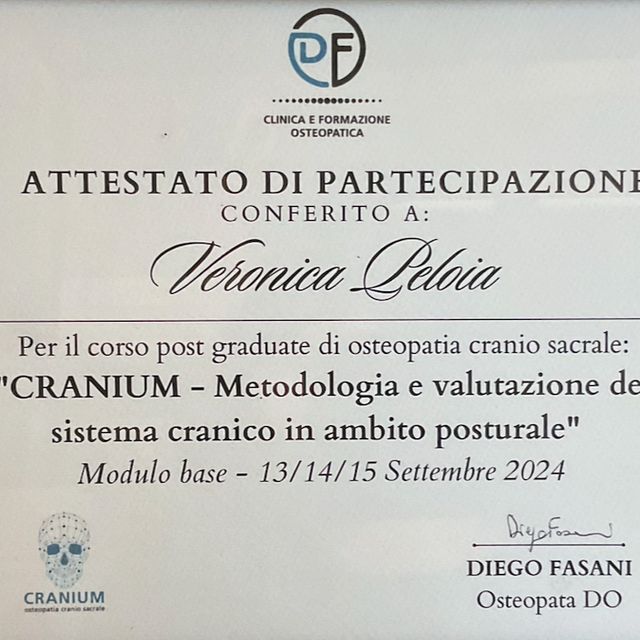 Ingrandire l'immagine: certificate 7