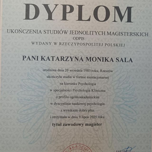 Powiększ obraz: certificate 13