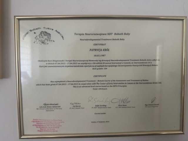 Powiększ obraz: certificate 1