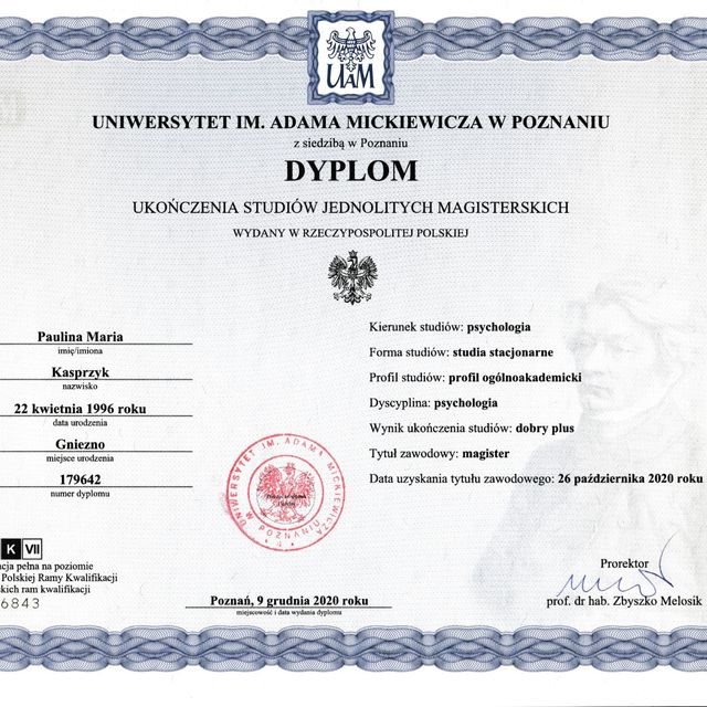 Powiększ obraz: certificate 11