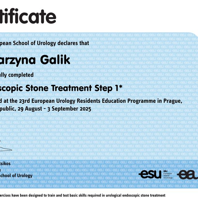 Powiększ obraz: certificate 2