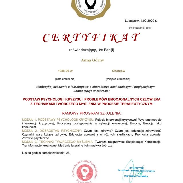 Powiększ obraz: certificate 8