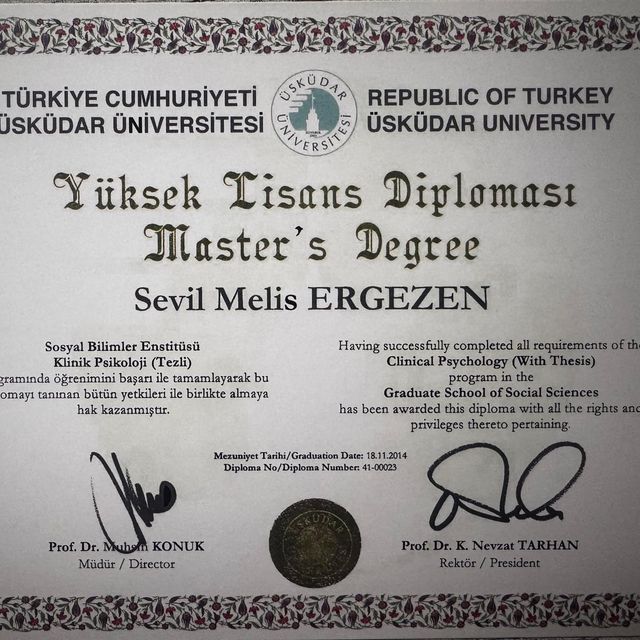 Resmi büyüt: certificate 2