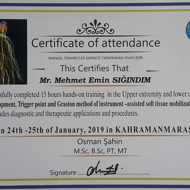 Resmi büyüt: certificate 11