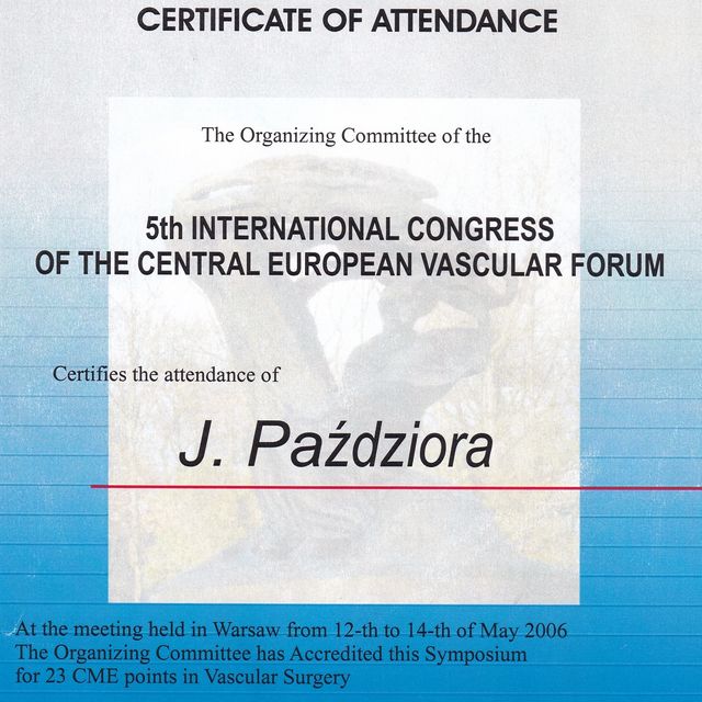 Powiększ obraz: certificate 6