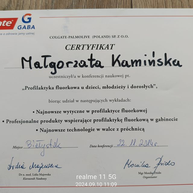 Powiększ obraz: certificate 11