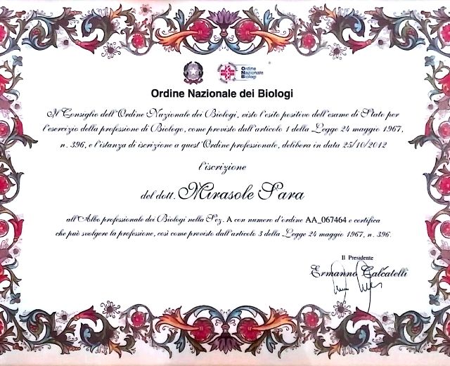Ingrandire l'immagine: certificate 1