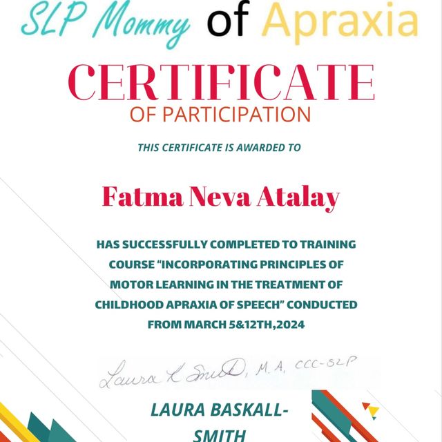 Resmi büyüt: certificate 25