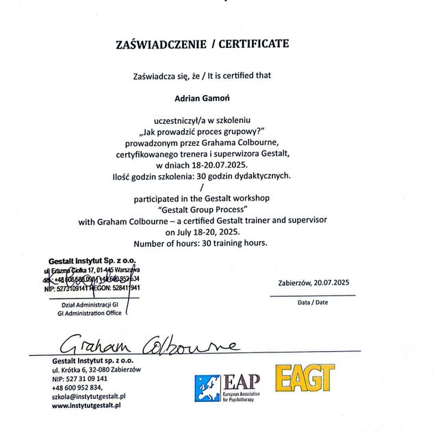 Powiększ obraz: certificate 2
