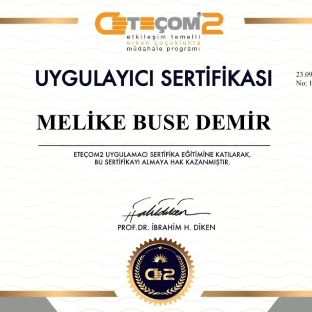 Resmi büyüt: certificate 3