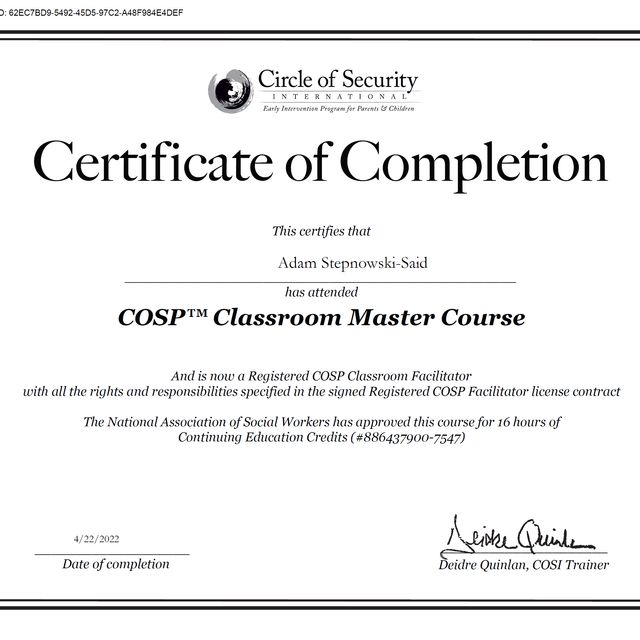 Powiększ obraz: certificate 3