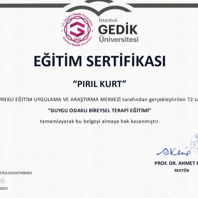 Resmi büyüt: certificate 9