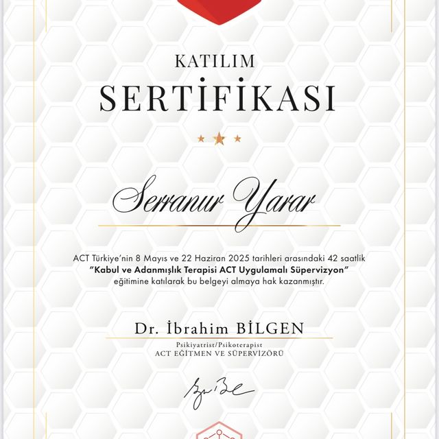 Resmi büyüt: certificate 8