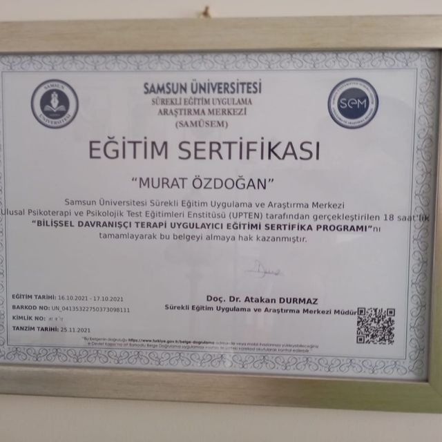 Resmi büyüt: certificate 8