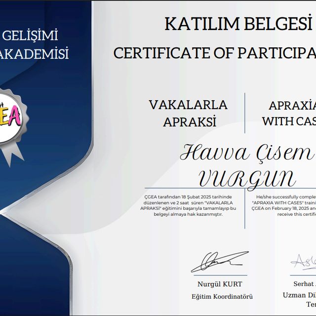 Resmi büyüt: certificate 3