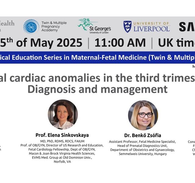 Powiększ obraz: certificate 98