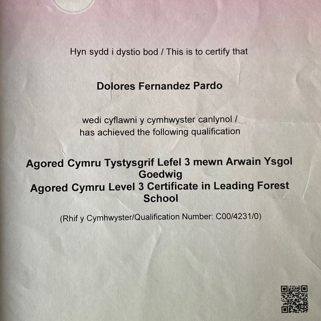 Acercar imagen: certificate 8