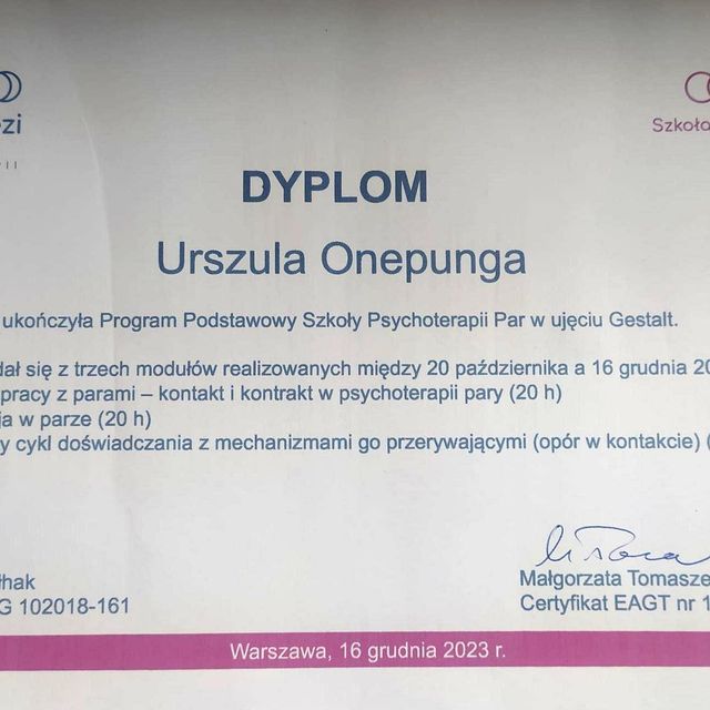 Powiększ obraz: certificate 1