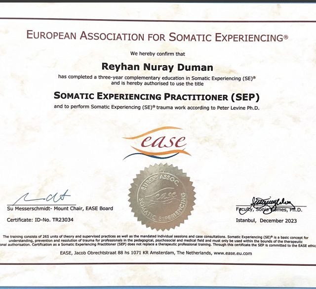 Resmi büyüt: certificate 13