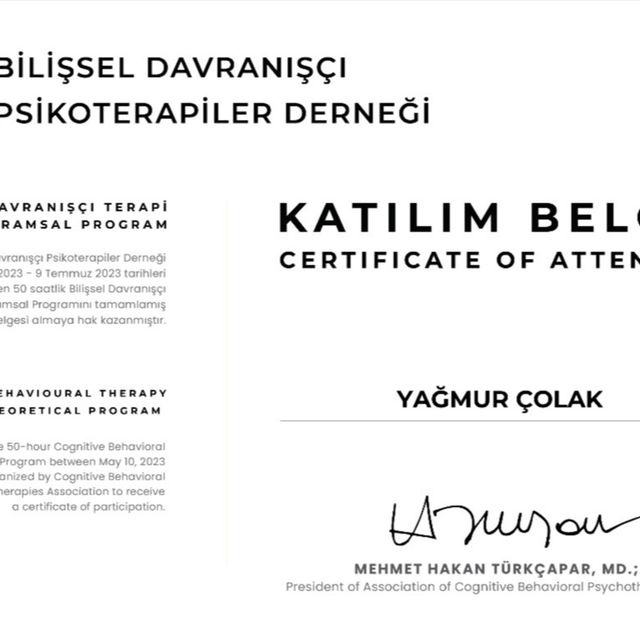 Resmi büyüt: certificate 3
