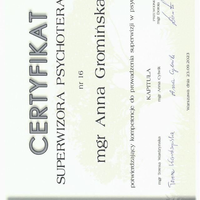 Powiększ obraz: certificate 2