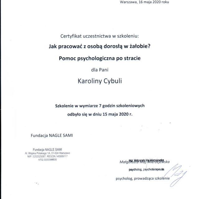 Powiększ obraz: certificate 2
