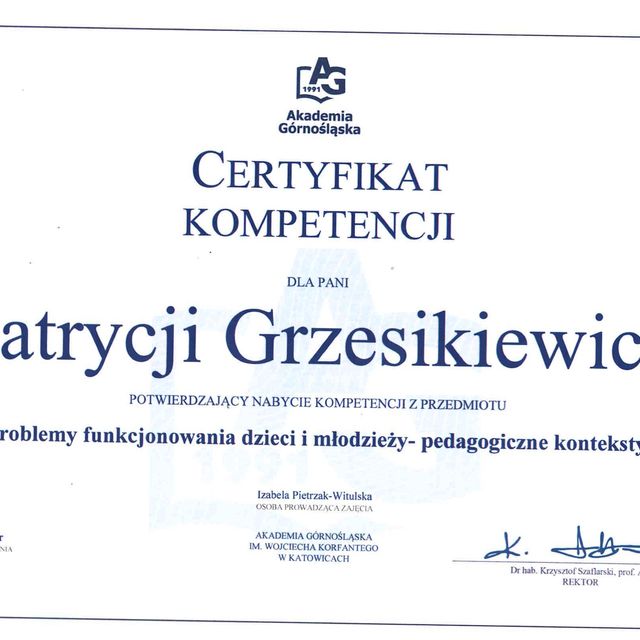 Powiększ obraz: certificate 2