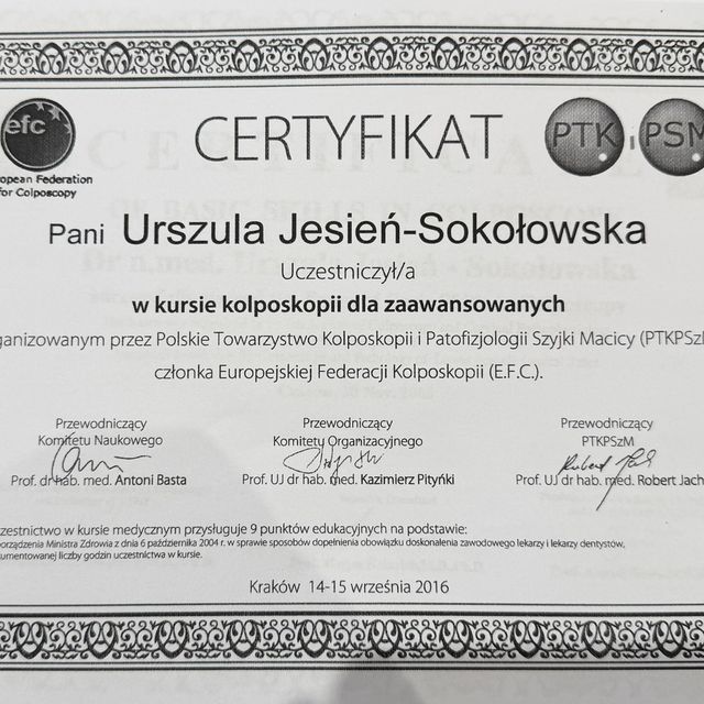 Powiększ obraz: certificate 1