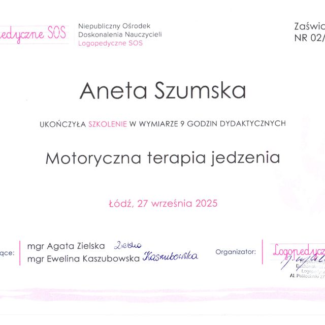Powiększ obraz: certificate 1