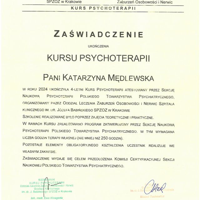 Powiększ obraz: certificate 1