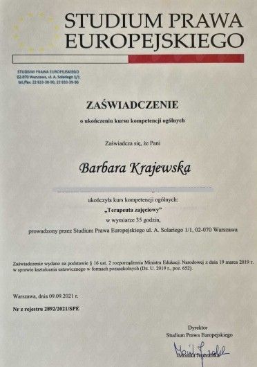 Powiększ obraz: certificate 17
