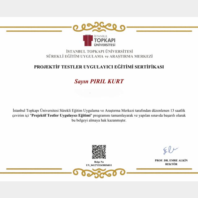Resmi büyüt: certificate 10