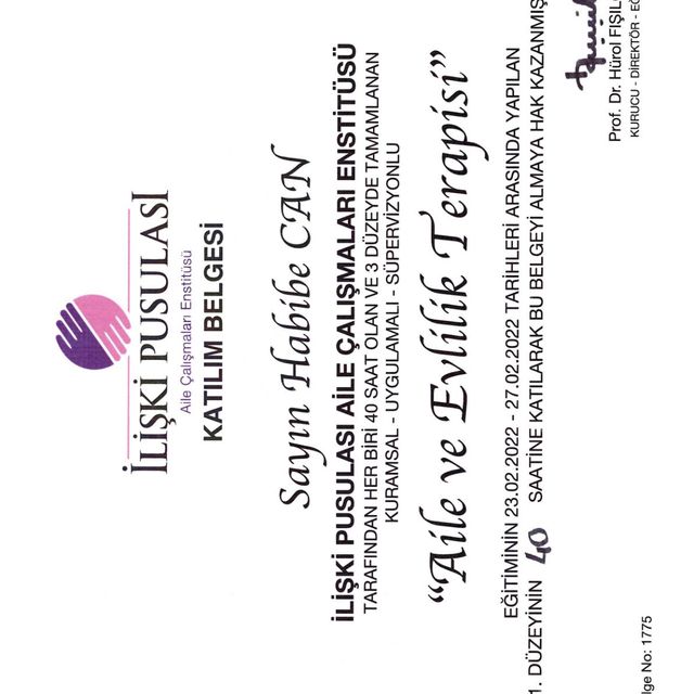 Resmi büyüt: certificate 2