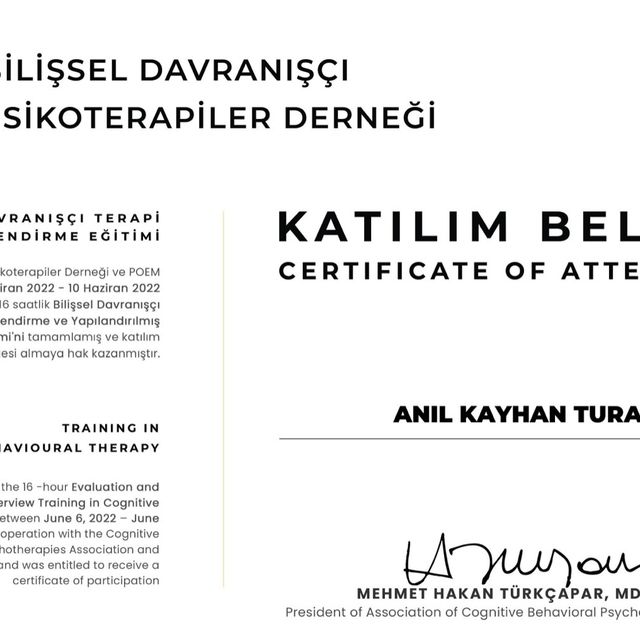 Resmi büyüt: certificate 7
