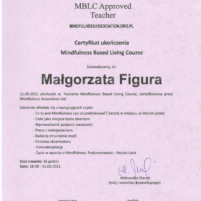 Powiększ obraz: certificate 12