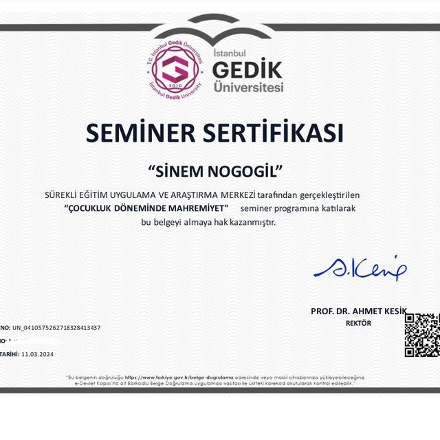 Resmi büyüt: certificate 9