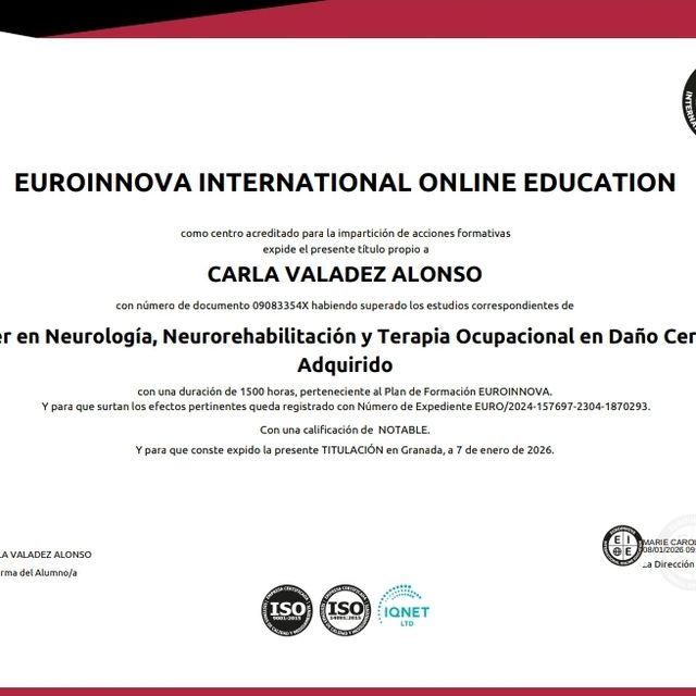 Acercar imagen: certificate 2