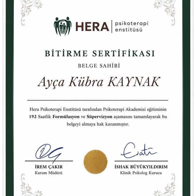 Resmi büyüt: certificate 2