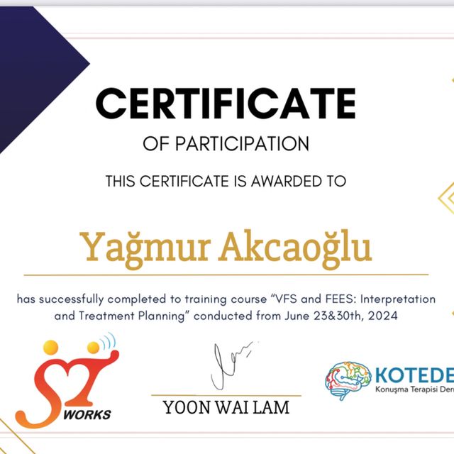 Resmi büyüt: certificate 6