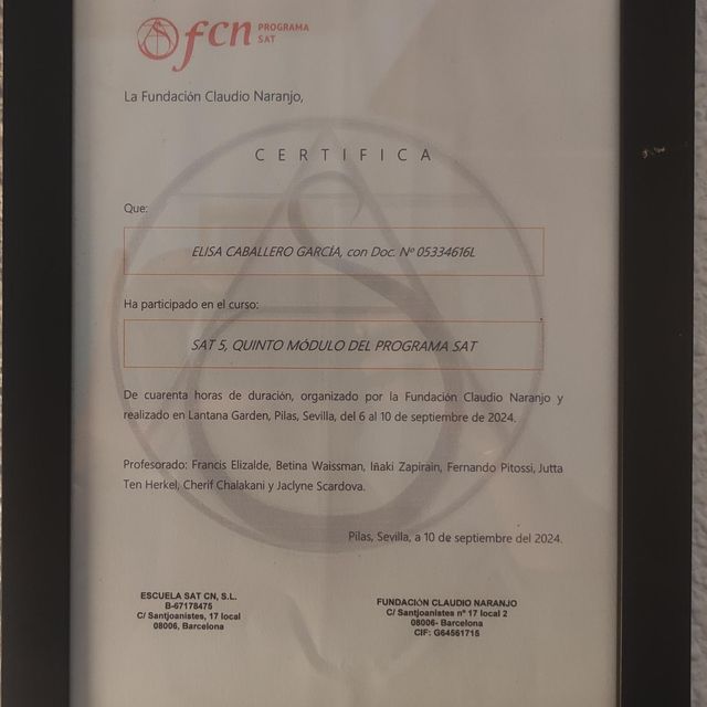Acercar imagen: certificate 4