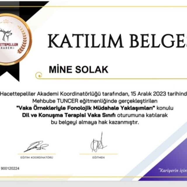 Resmi büyüt: certificate 9