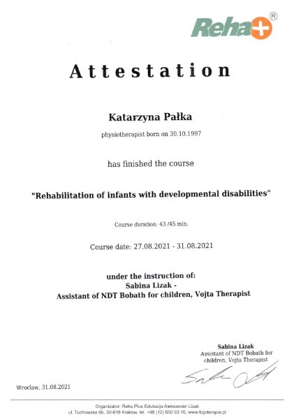 Powiększ obraz: certificate 9