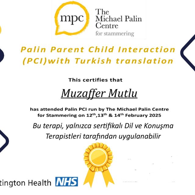 Resmi büyüt: certificate 2