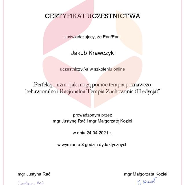 Powiększ obraz: certificate 4