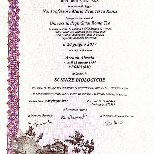 Ingrandire l'immagine: certificate 1