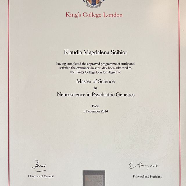 Powiększ obraz: certificate 1