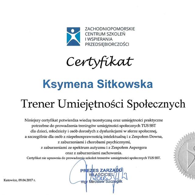 Powiększ obraz: certificate 1