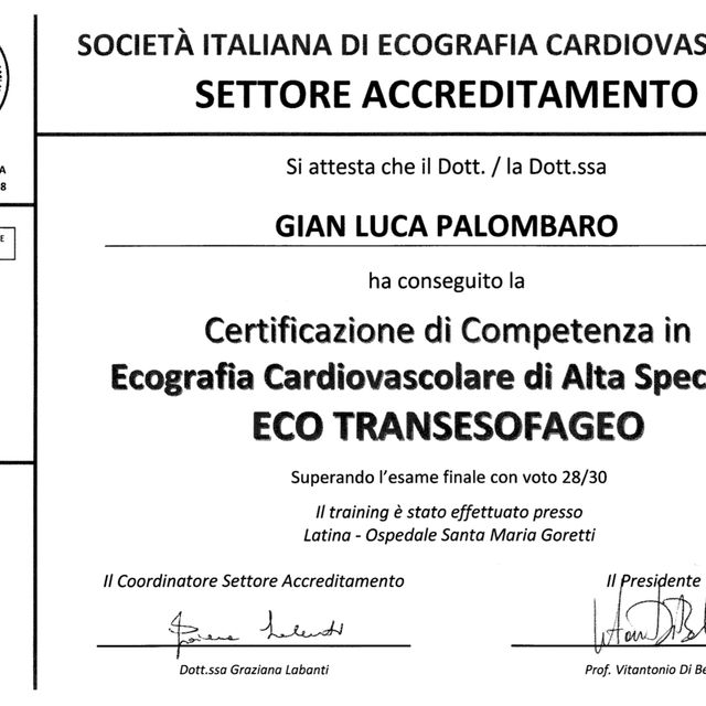 Ingrandire l'immagine: certificate 2