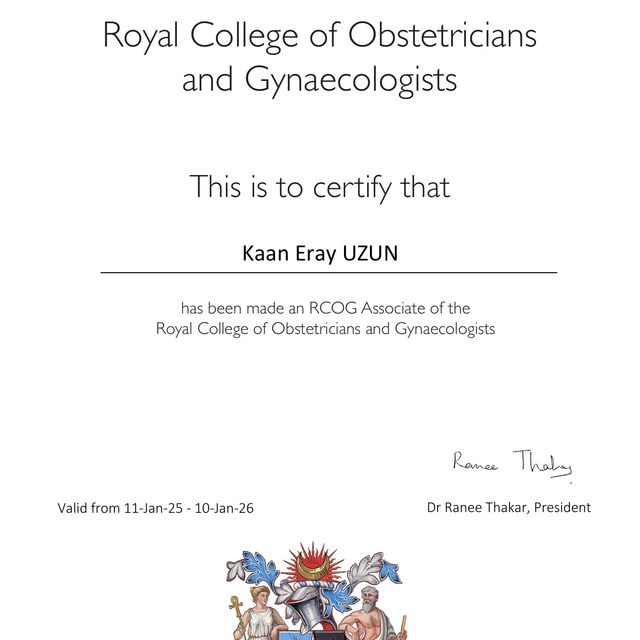Resmi büyüt: certificate 3